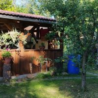 Záhradná chatka s krásnym pozemkom Lutila - foto 1